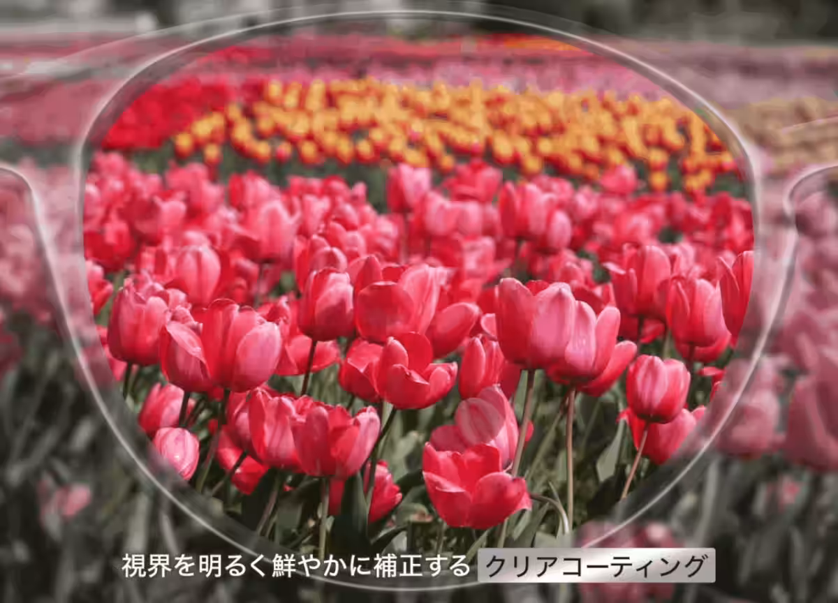 画像10