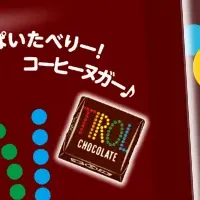 九州限定コーヒーヌガー