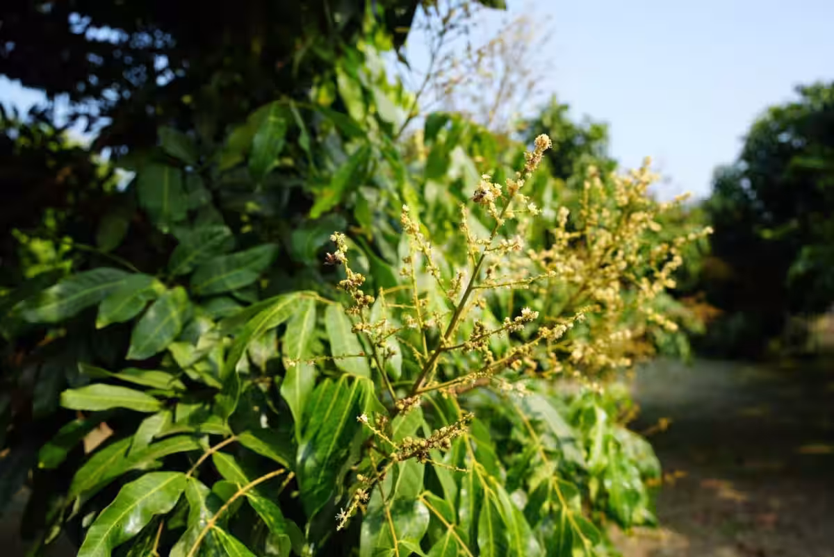 画像10