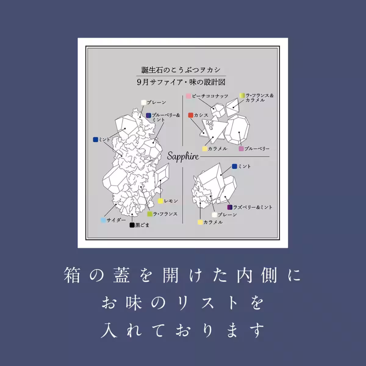 画像9