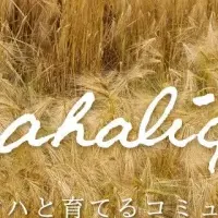 原田マハオンラインサロン