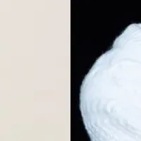 『マイ・ユース』イベント