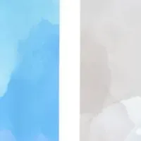 新和漢シートマスク