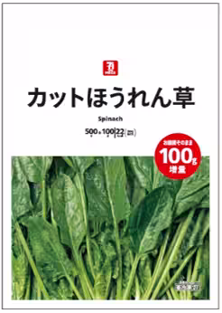 画像10