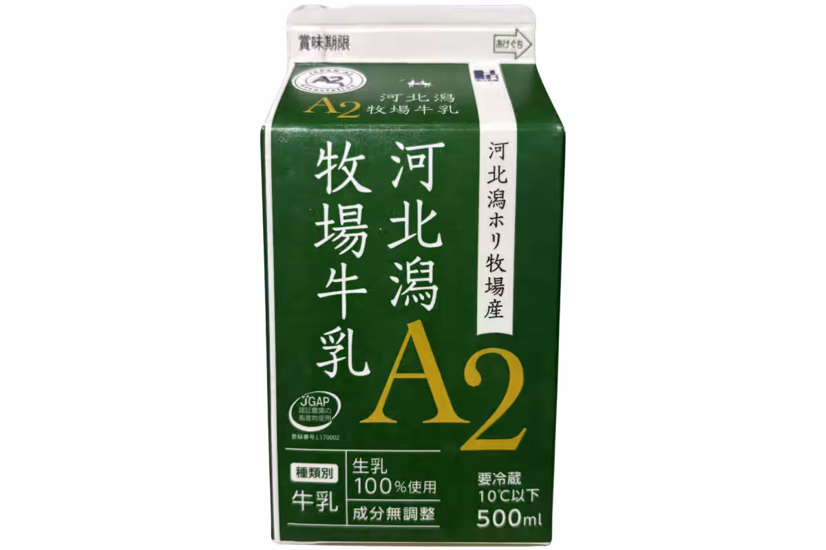 画像8