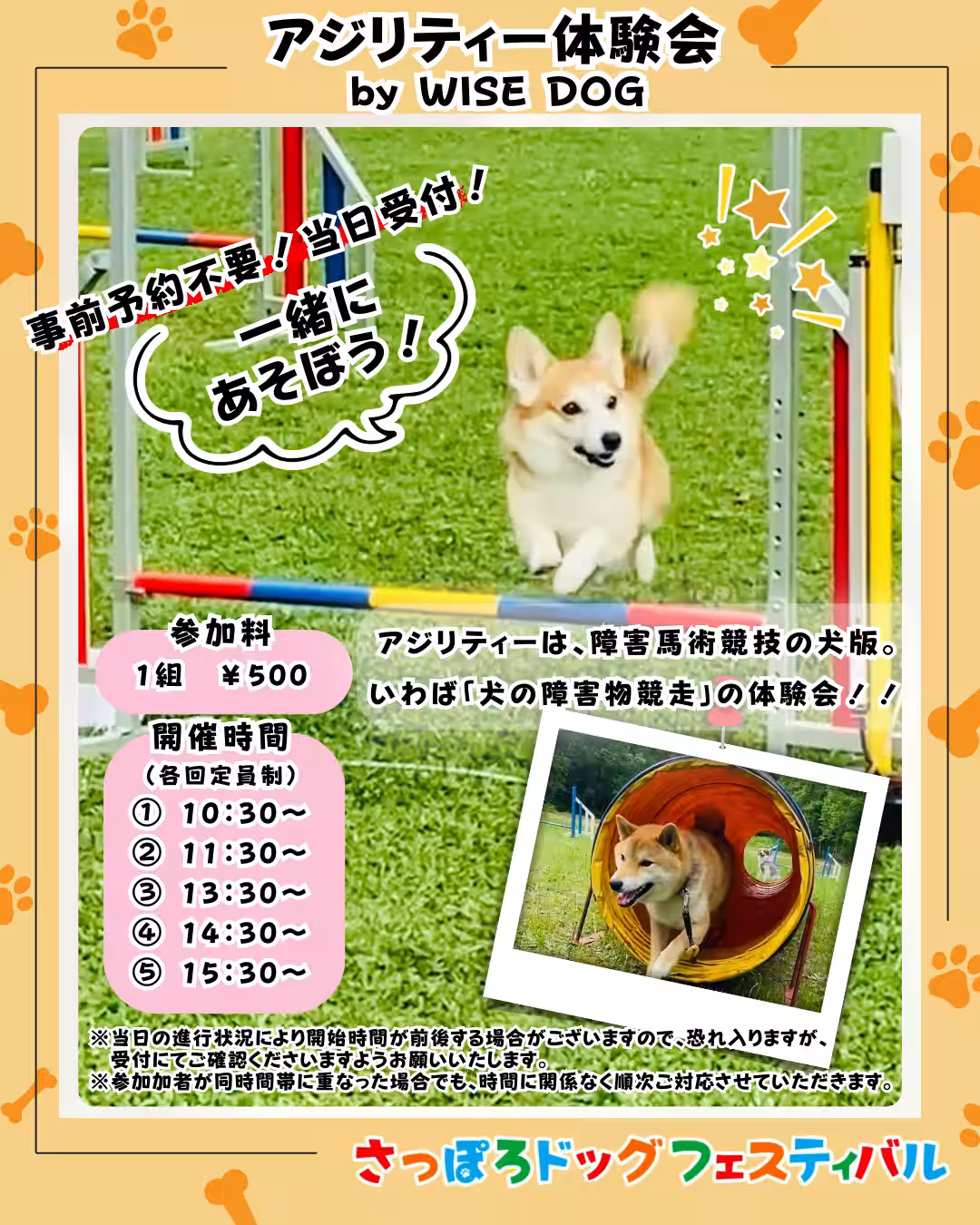 画像20