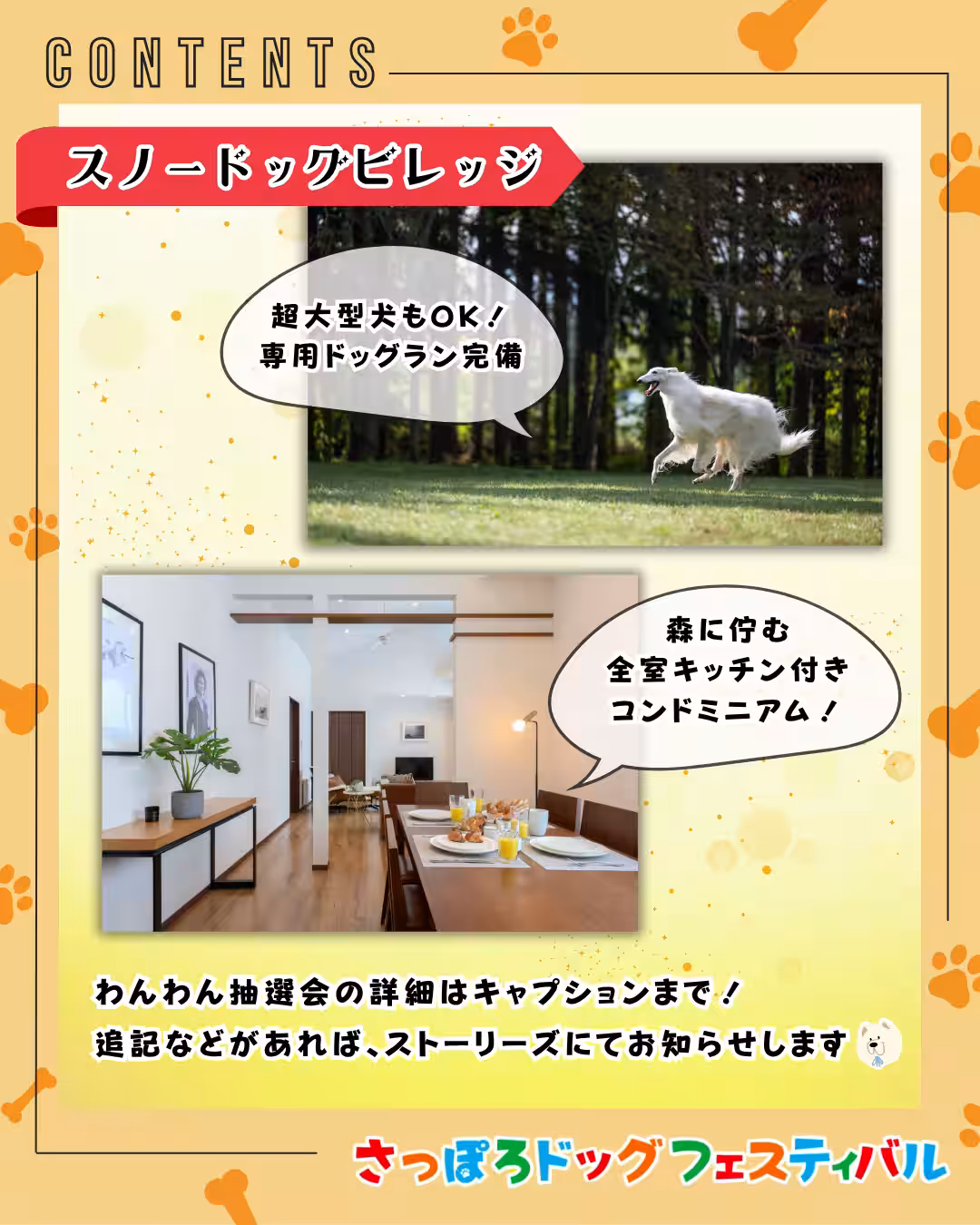 画像17