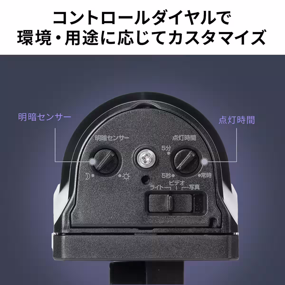 画像9