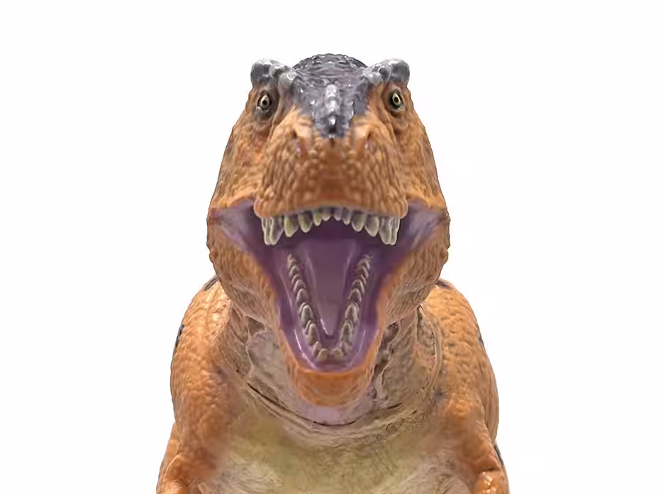 画像9