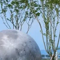 お得な秋のセール