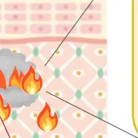 植物で老化防止