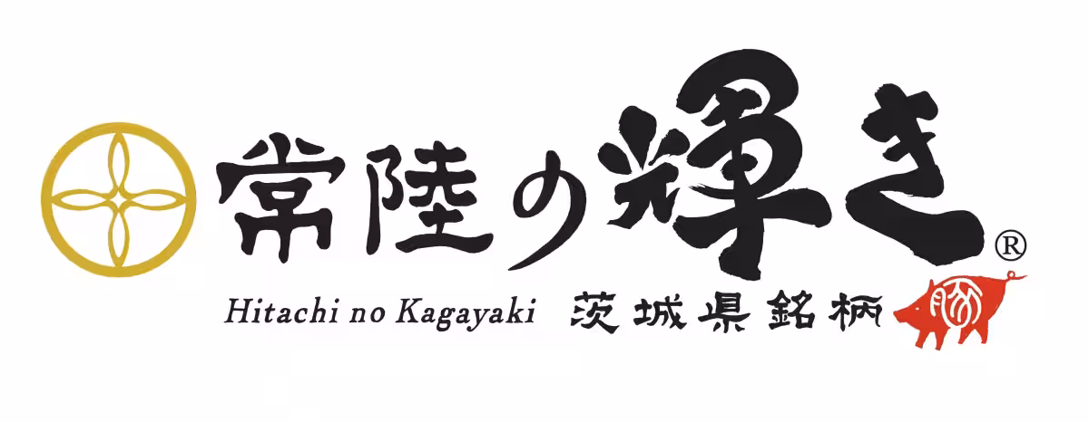 画像15