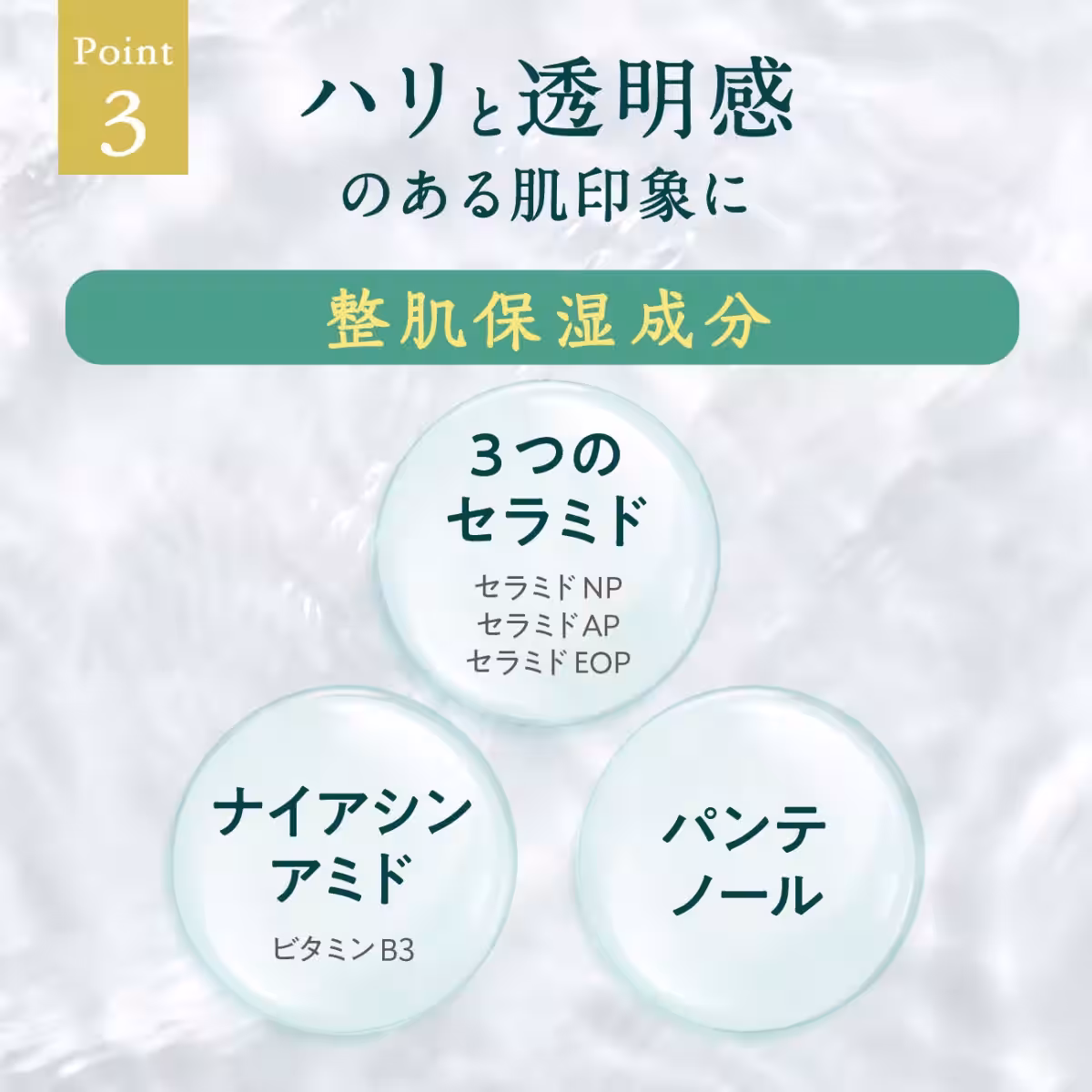 画像17