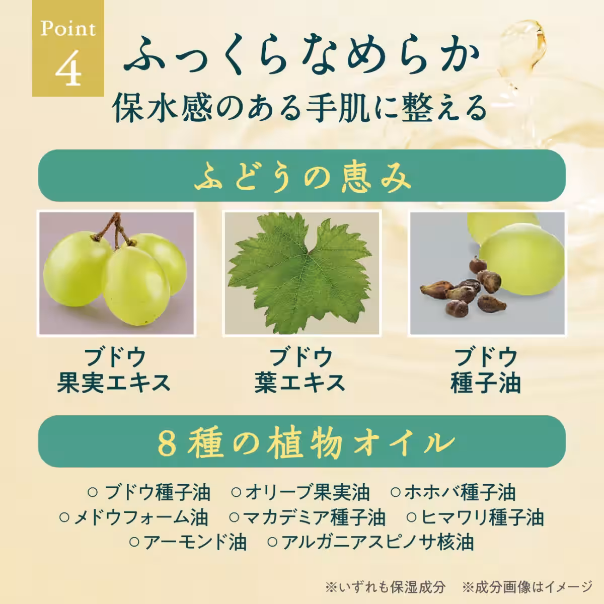 画像18