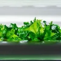 未来の農業AGROT