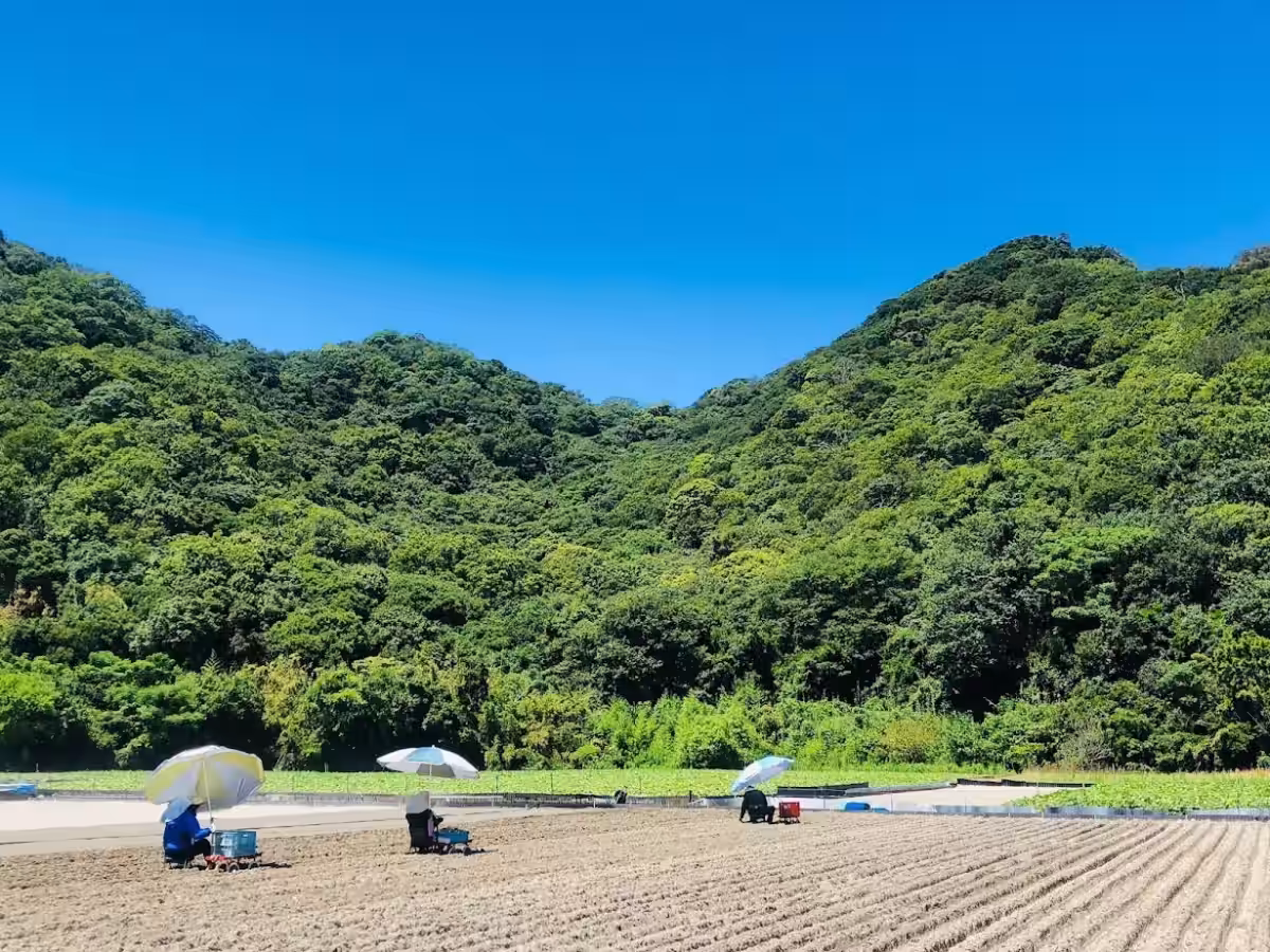画像8