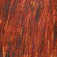 絵本のいまの魅力