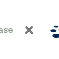 AI活用を加速