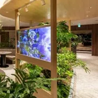 ジオ ゲストサロン新宿