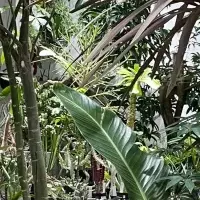 「THE EST」が1周年！