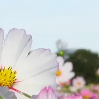 9月の全国イベント