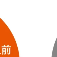 ギリギリ派の真実