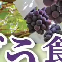 いーふらんのバスツアー