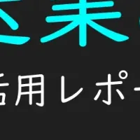 運送業向けTikTokレポート