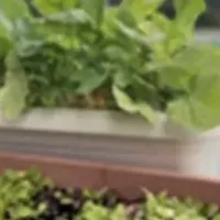 東急の環境への挑戦