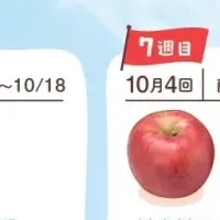 りんごのサブスク