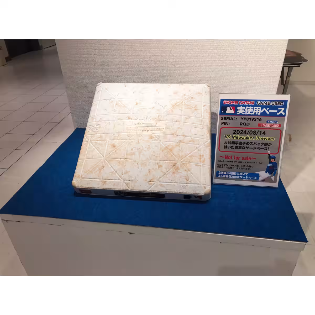 画像6