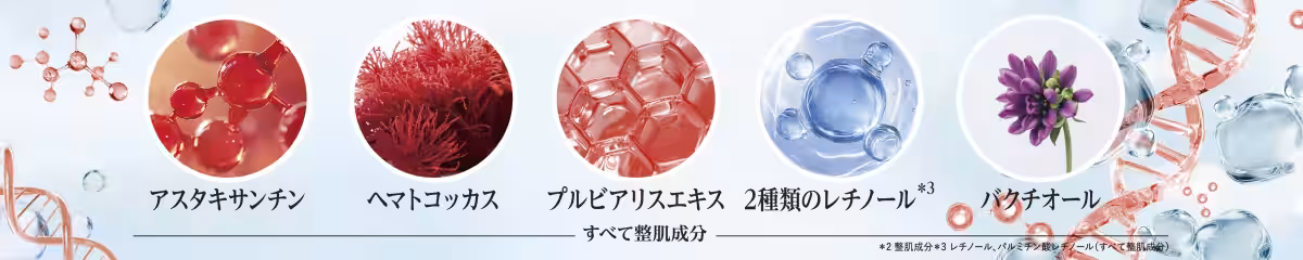 画像12