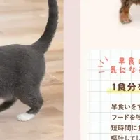 自動給餌器 新登場