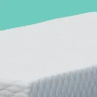 コアラマットレス登場