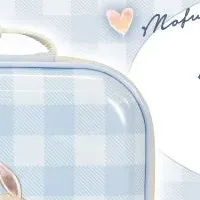 もふもふイーブイ登場