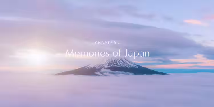 画像14