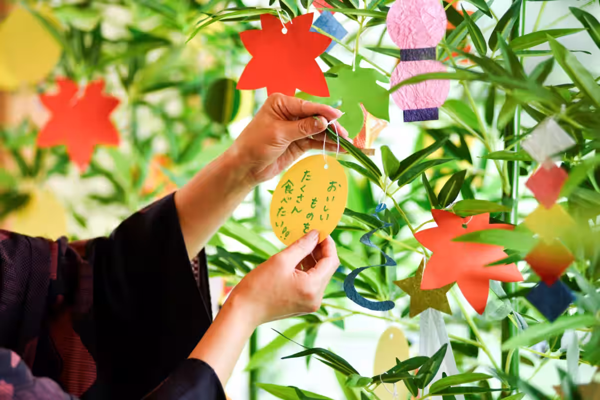 画像6