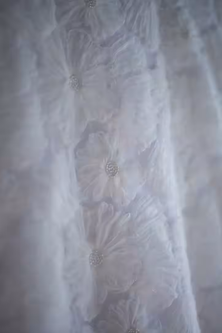 画像12