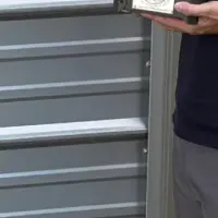 FUTURE FOXの快進撃