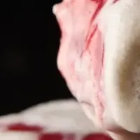 秋の新スイーツ