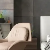 ヴァイツァー日本上陸