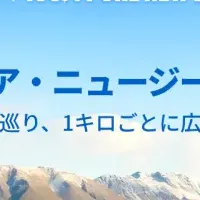 ニュージーランドドライブ特集