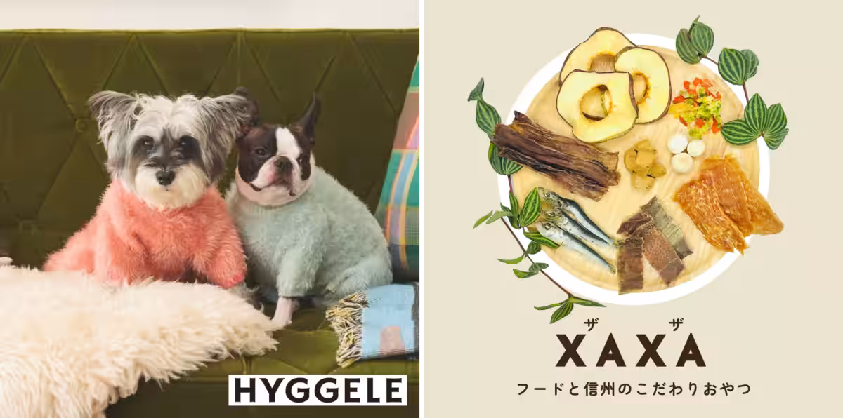 画像9