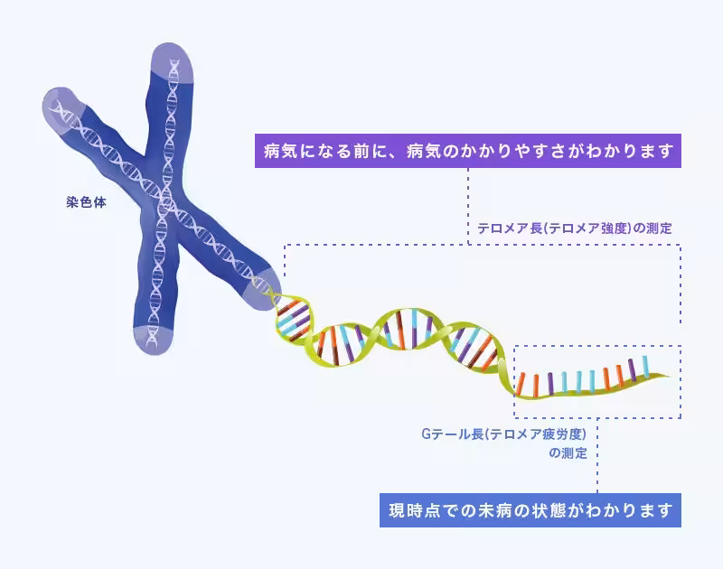 画像16