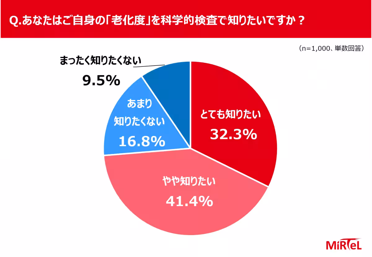 画像13