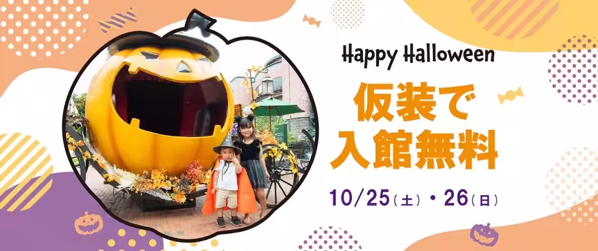 画像11