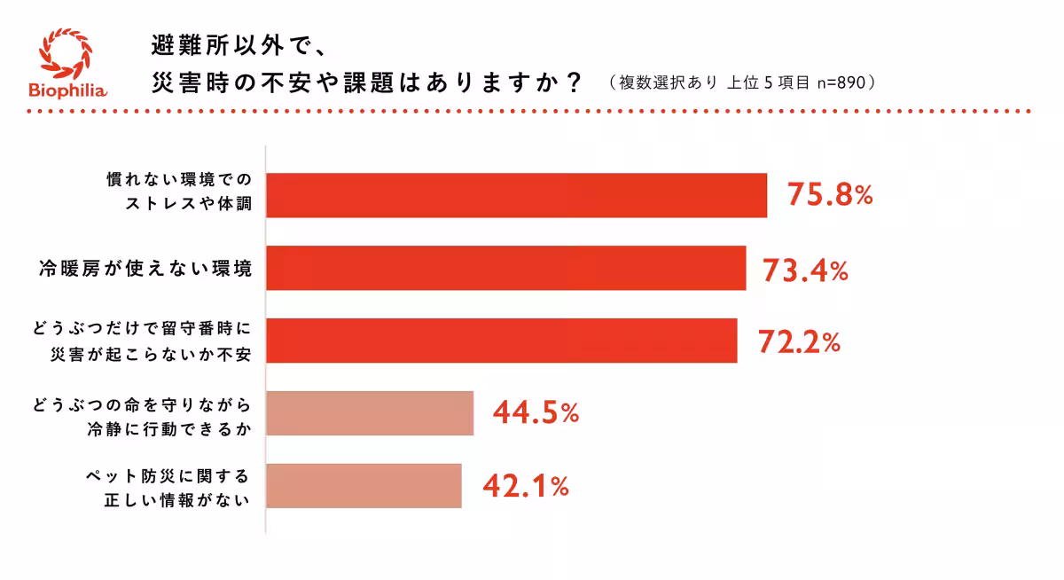 画像11
