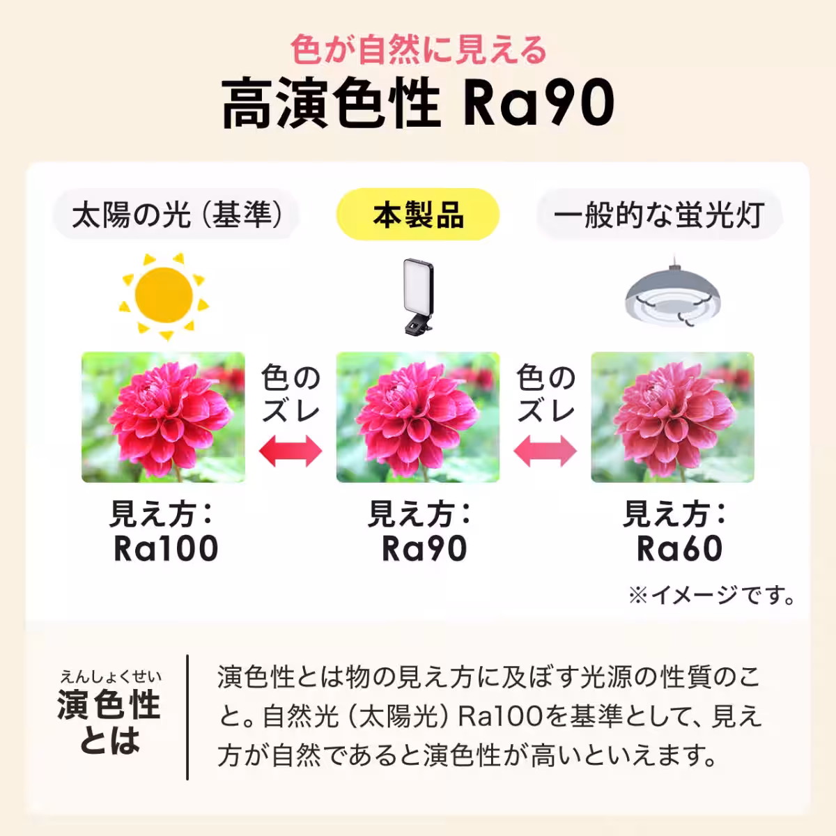 画像12