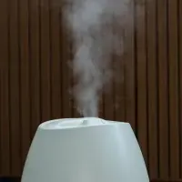 シロカの加湿器登場
