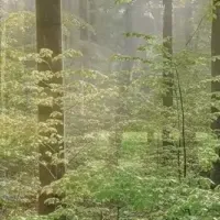 新ユニットバス登場